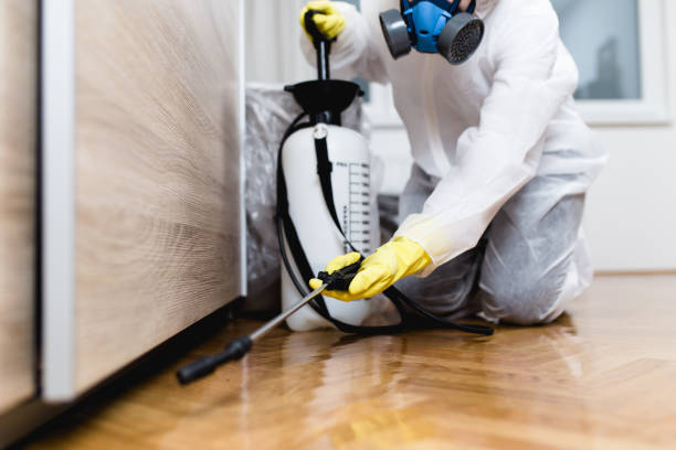 Best Best Pest Control Companies  in Salem, OR
