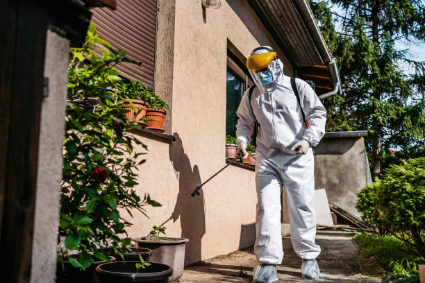 Best Affordable Pest Control Services  in Salem, OR