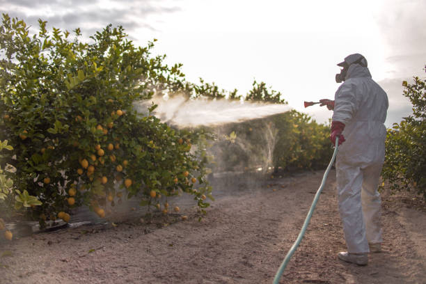 Best Local Pest Control Services  in Salem, OR